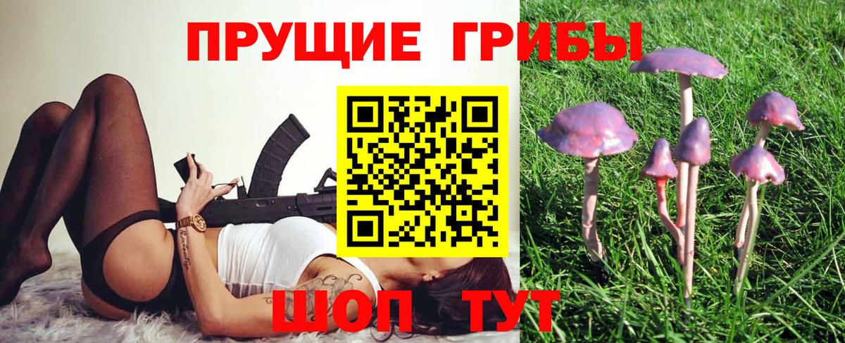 Галлюциногенные грибы MAGIC MUSHROOMS Можайск
